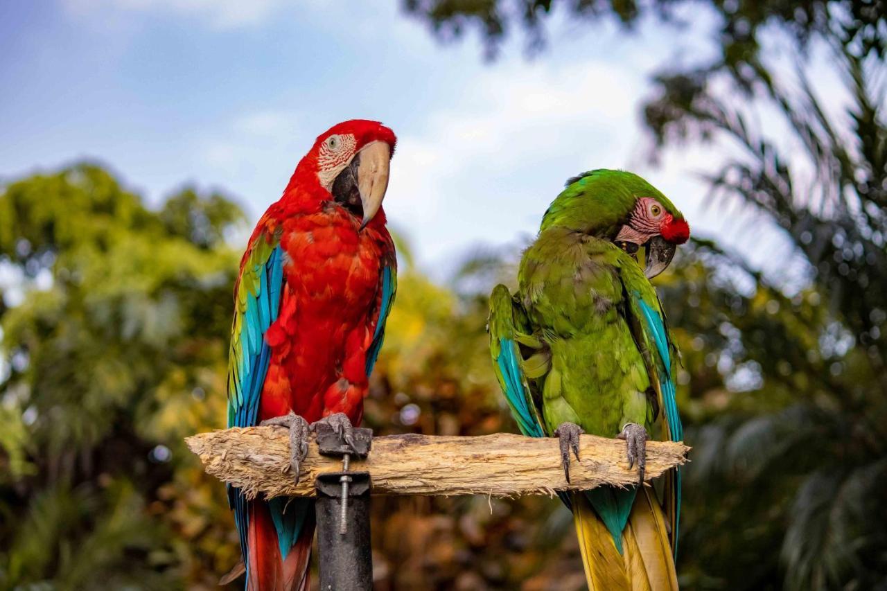 Las Mananitas Cuernavaca Exteriör bild