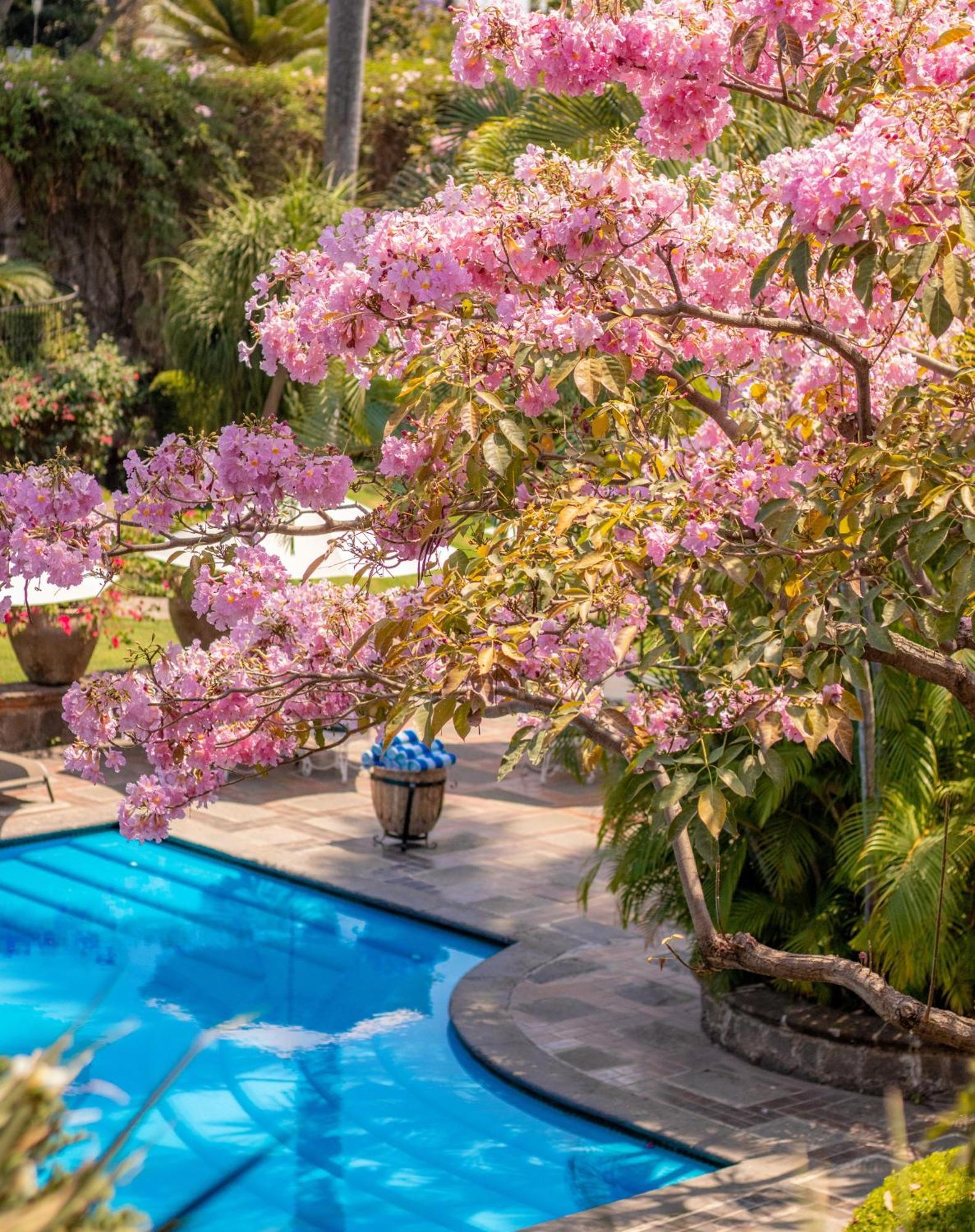 Las Mananitas Cuernavaca Exteriör bild